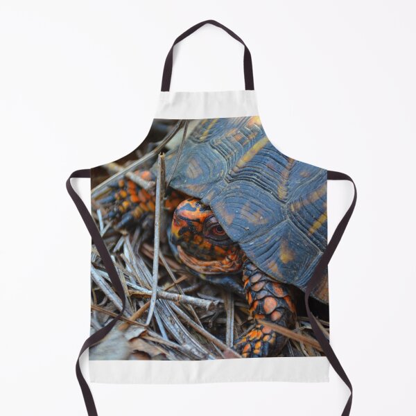 Item preview, Box Turtle designed and sold by LisaWootenPhoto.