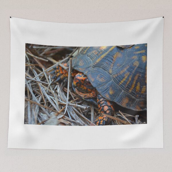 Item preview, Box Turtle designed and sold by LisaWootenPhoto.