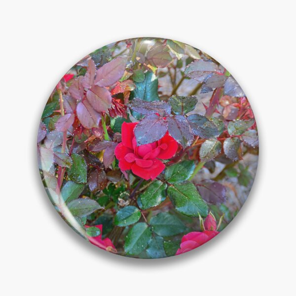 Item preview, Rose Bush designed and sold by LisaWootenPhoto.