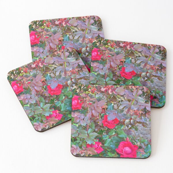 Item preview, Rose Bush designed and sold by LisaWootenPhoto.
