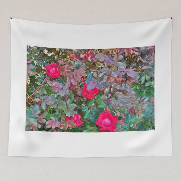 Item preview, Rose Bush designed and sold by LisaWootenPhoto.