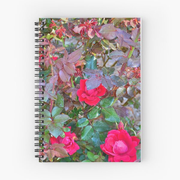 Item preview, Rose Bush designed and sold by LisaWootenPhoto.