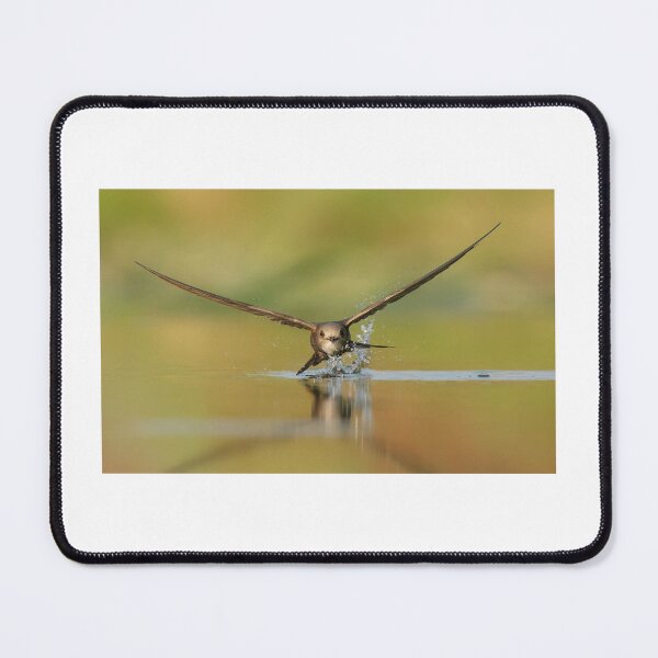 Item preview, Bird designed and sold by KNBS.