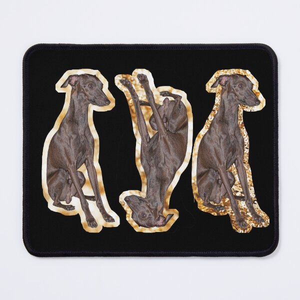 Item preview, Golden Galgo Dorado Greyhound designed and sold by GDDO.