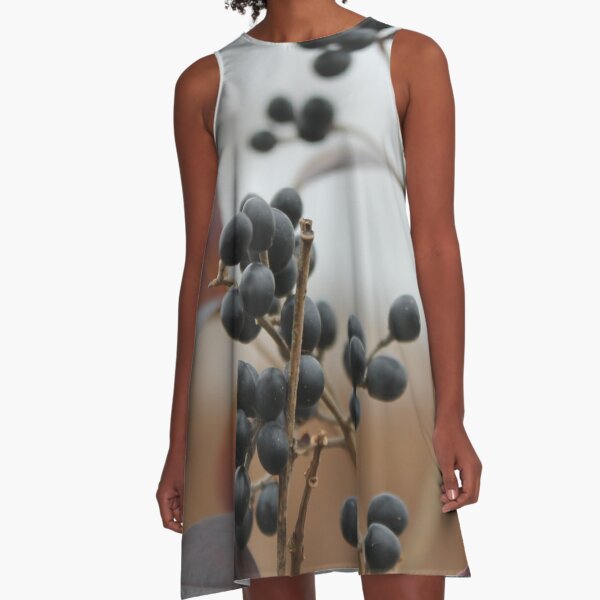 Black wild berry in the autumn park of New York A-Line Dress