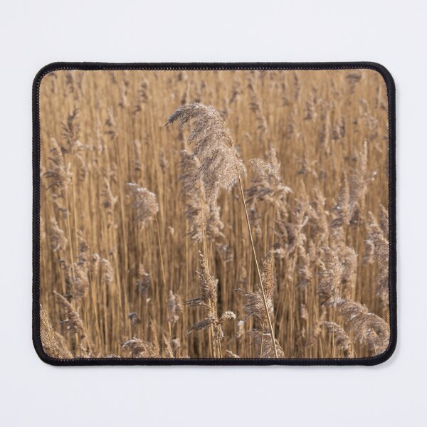 Item preview, Pampas grass on the shore of a lake 1 designed and sold by Heidemüllerin.