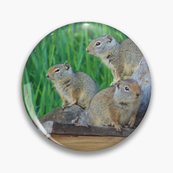 Item preview, Three Amigos : Chipmunks designed and sold by CommandoCrane.
