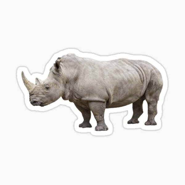 Item preview, Rhino Louise from Southwick’s Zoo designed and sold by JulieAnnPix.