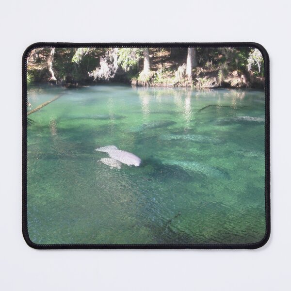 Item preview, Manatees at Blue Springs designed and sold by ValeriesGallery.