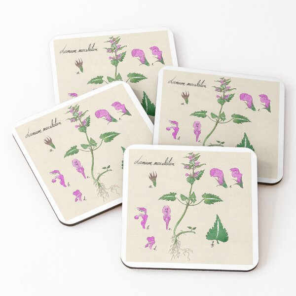 Item preview, Spotted Dead Nettle Botanical Flower Illustration designed and sold by Perunika305.
