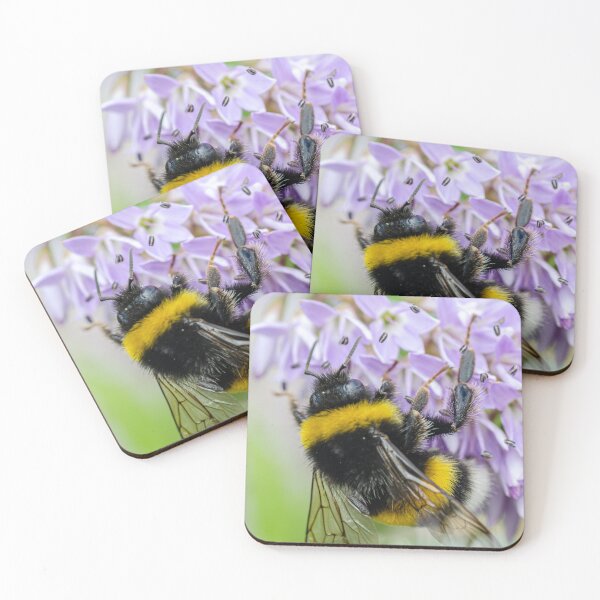 Item preview, Busy Bee designed and sold by Martina Fagan.
