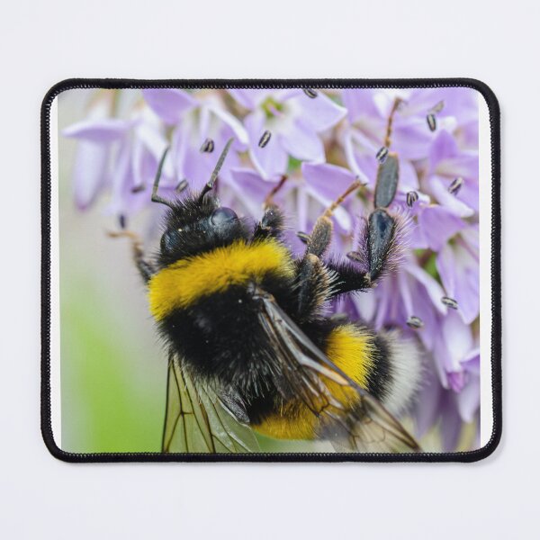 Item preview, Busy Bee designed and sold by Martina Fagan.