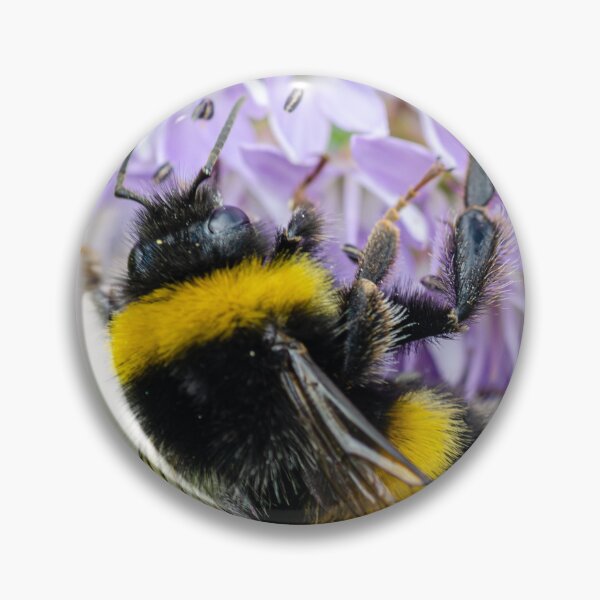 Item preview, Busy Bee designed and sold by Martina Fagan.