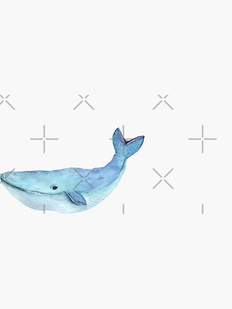 whale by kareanddesign