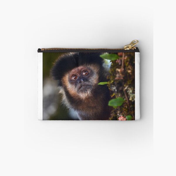 Item preview, A Black Capuchin in Itatiaia designed and sold by Pedro-Carrilho.