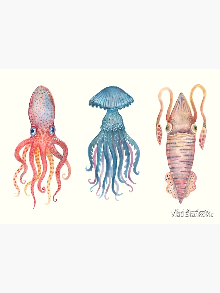 Octopus, Jellyfish and a Squid Art Print for Sale by Vlad Stankovic