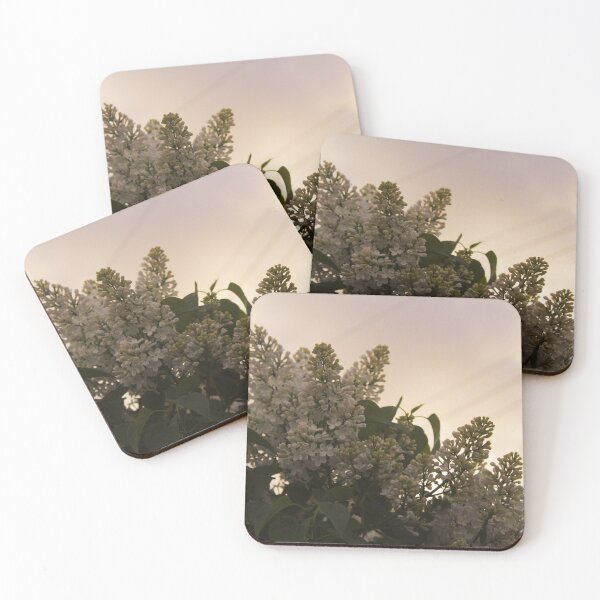 Item preview, Evening Flowers in Prince Edward Island designed and sold by Katakunanb.