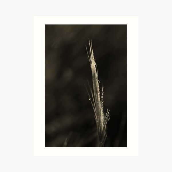 Dreamcatcher: Fiber Optics Art Print