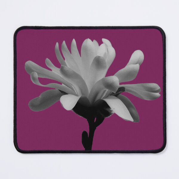 Item preview, Monochrome Magnolia Blossom - bergundy background designed and sold by Louise-Mae.