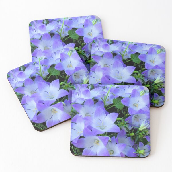 Item preview, Campanula Purple and White Bellflowers Photograph designed and sold by ArtVixen.
