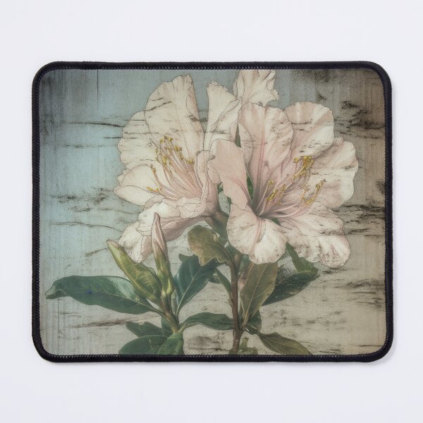 Item preview, Rustic Romance designed and sold by riquishop.