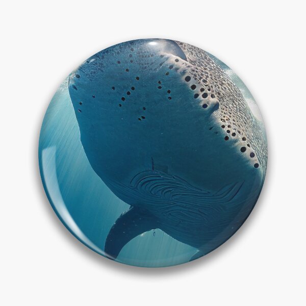 Item preview, Whale Shark designed and sold by DigitizedArt.