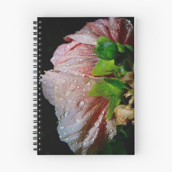 Item preview, Ambitious  designed and sold by seventySIXart&photo .