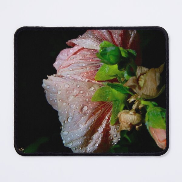 Item preview, Ambitious  designed and sold by seventySIXart&photo .