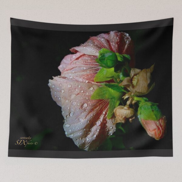 Item preview, Ambitious  designed and sold by seventySIXart&photo .