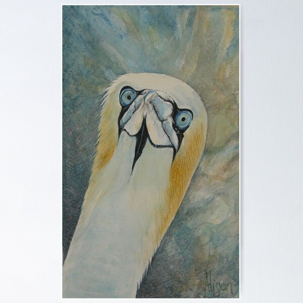 Item preview, Gannet designed and sold by JustAlison.