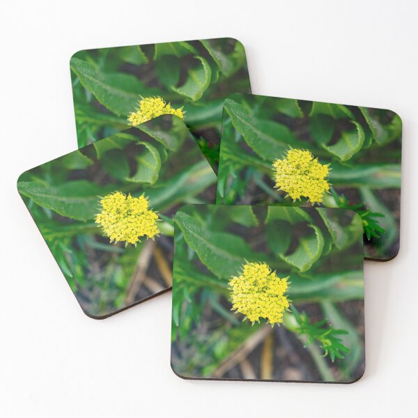 Item preview, Bright yellow flower designed and sold by Shizenkai.