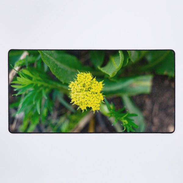 Item preview, Bright yellow flower designed and sold by Shizenkai.