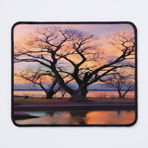 Item preview, Winter Tree,Captured in OKC, USA designed and sold by JohnDSmith.