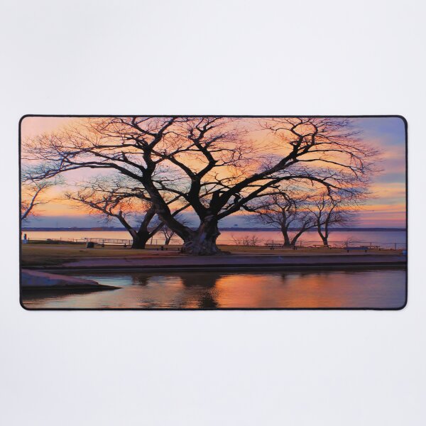 Item preview, Winter Tree,Captured in OKC, USA designed and sold by JohnDSmith.