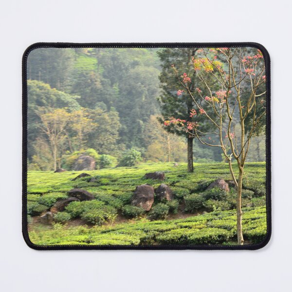 Item preview, India - Munnar designed and sold by franck380.