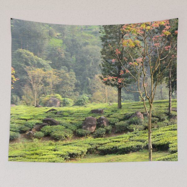Item preview, India - Munnar designed and sold by franck380.