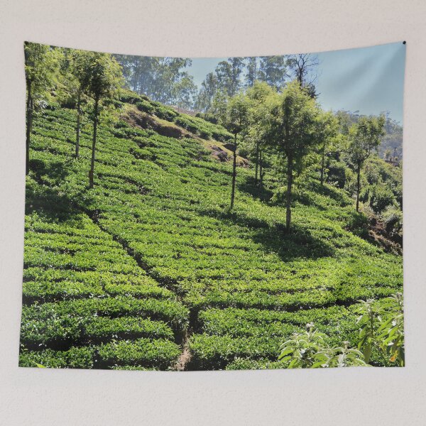Item preview, India - Munnar designed and sold by franck380.