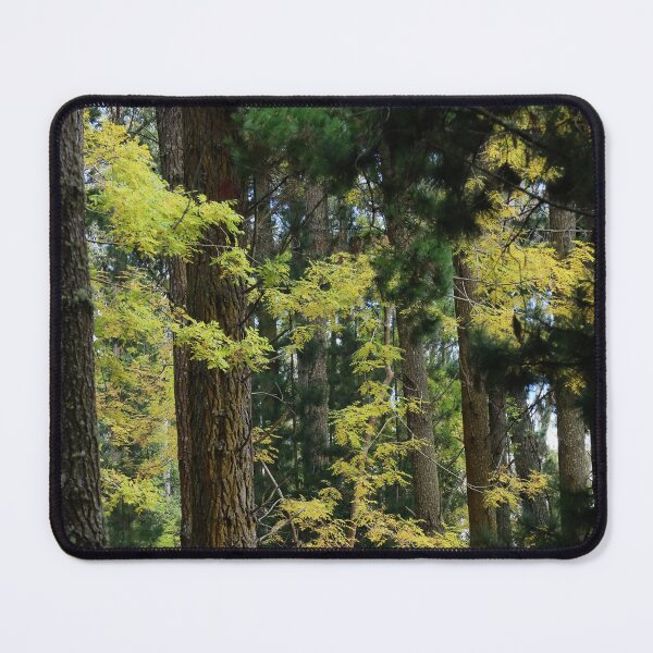 Item preview, Autumn Scene 2 designed and sold by Geoff Treagus.