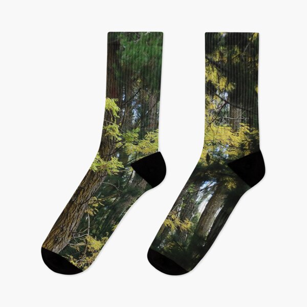 Item preview, Autumn Scene 2 designed and sold by Geoff Treagus.