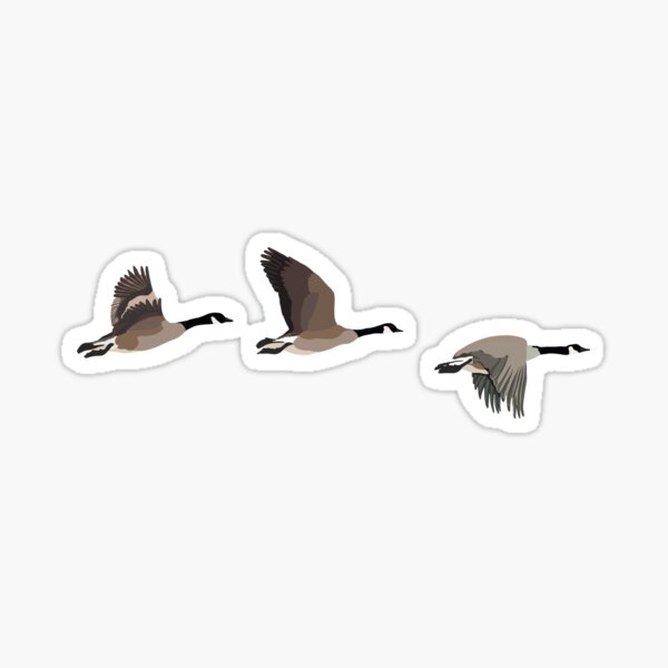 Item preview, Canada Goose (Geese) designed and sold by SarahTolve.