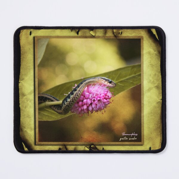 Item preview, Garter Flower designed and sold by UffdaGreg.