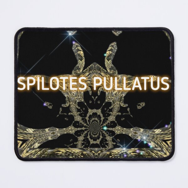 Item preview, SF SPILOTES #4. MACULATUS AND PULLATUS designed and sold by StrangeFetish.