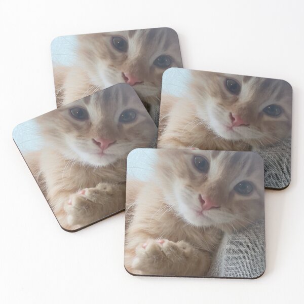 Item preview, Kitten “Sir Percival” designed and sold by Betsy Phillips.