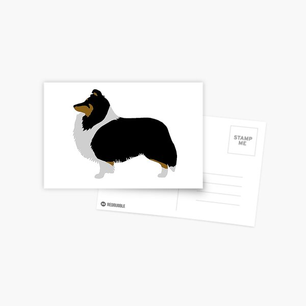 Shetland Sheepdog (Tricolour) Greetings Card Postcard