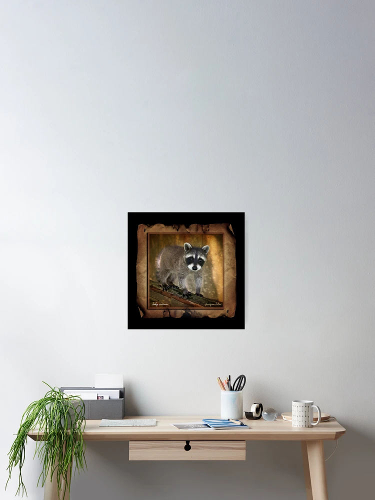 Thumbnail 2 of 3, Poster, Baby Racoon designed and sold by UffdaGreg.