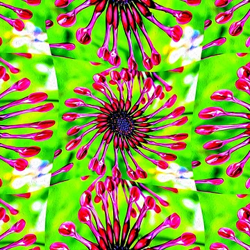 Artwork thumbnail, Cute Daisy Pattern by Patternflower