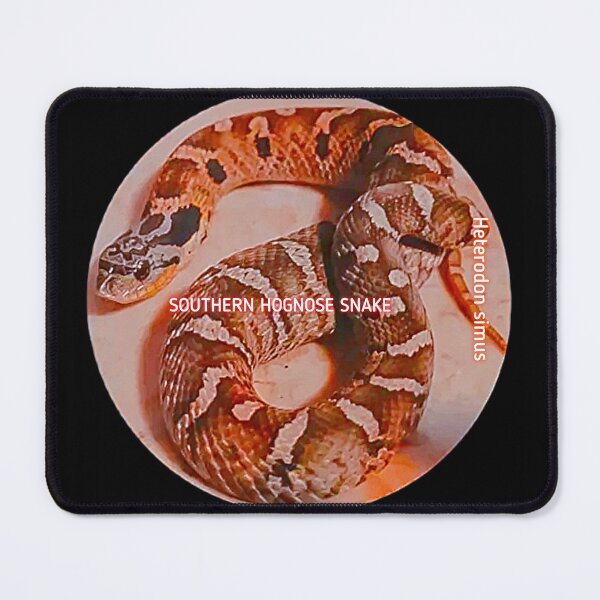 Item preview, Southern Hognose Snake designed and sold by StrangeFetish.