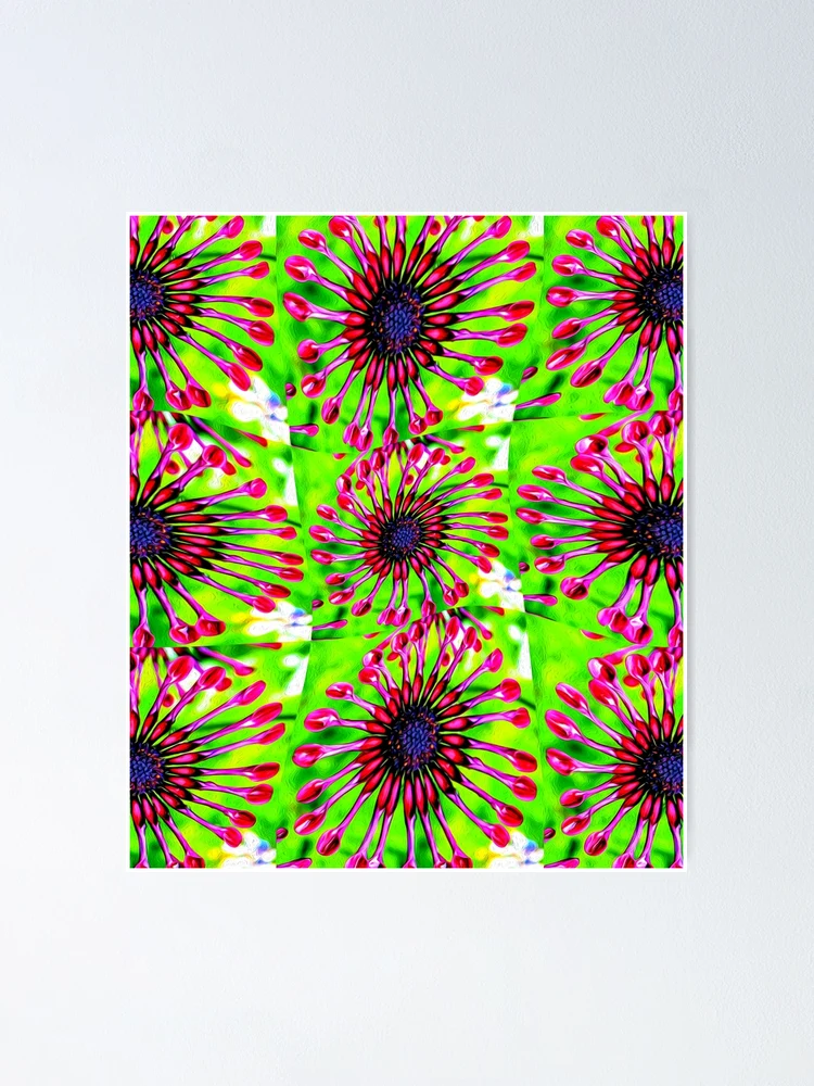 Thumbnail 1 of 3, Poster, Cute Daisy Pattern designed and sold by Patternflower.