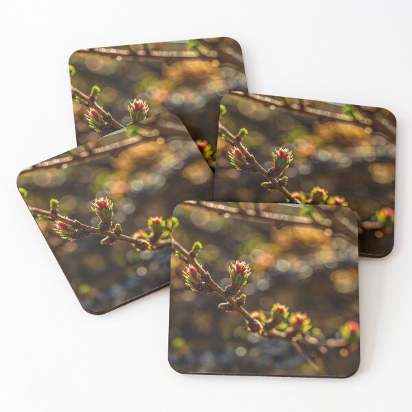 Item preview, Spring 4 designed and sold by Veikko  Suikkanen.