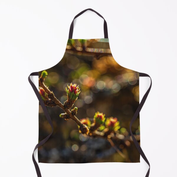Item preview, Spring 4 designed and sold by Veikko Suikkanen.